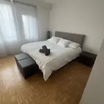 Geneve Magnifique Appartemens Aux Eaux Vives