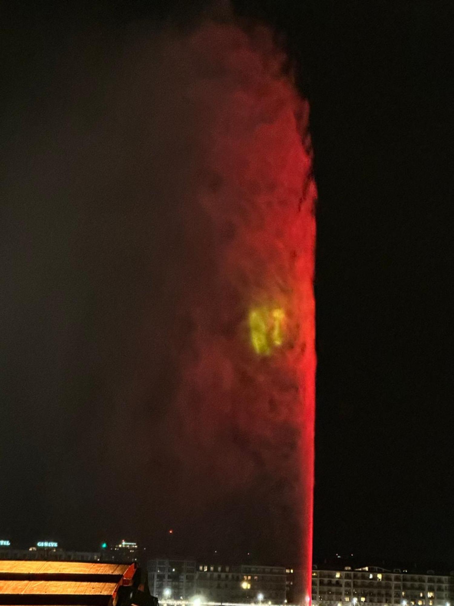 Apartment Magnifique Appartemens Aux Eaux Vives *