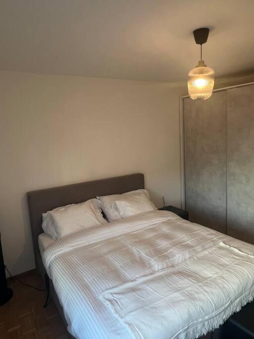 Magnifique Appartemens Aux Eaux Vives Apartment Geneva