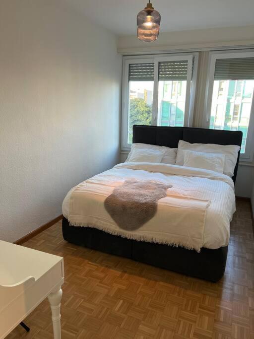 Magnifique Appartemens Aux Eaux Vives