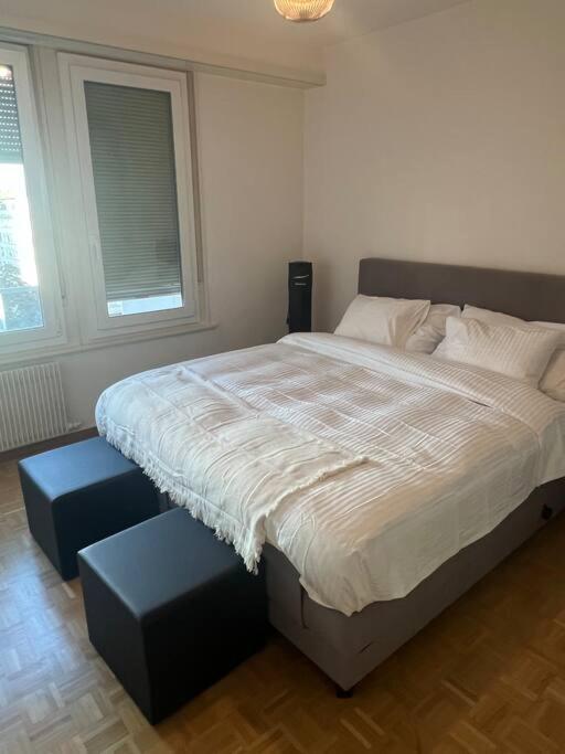 Magnifique Appartemens Aux Eaux Vives * Geneva